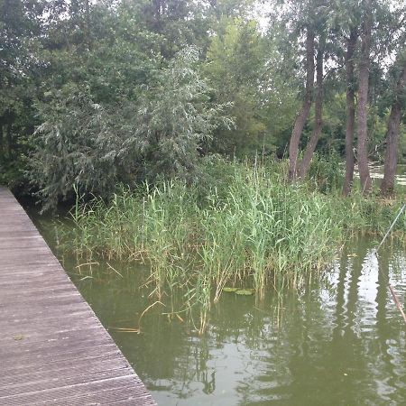 Berlare Lake Park מראה חיצוני תמונה
